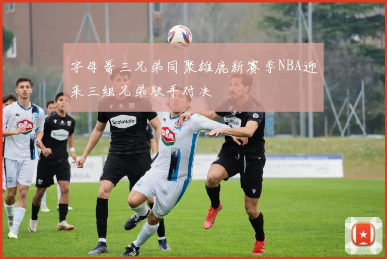 字母哥三兄弟同聚雄鹿新赛季NBA迎来三组兄弟联手对决
