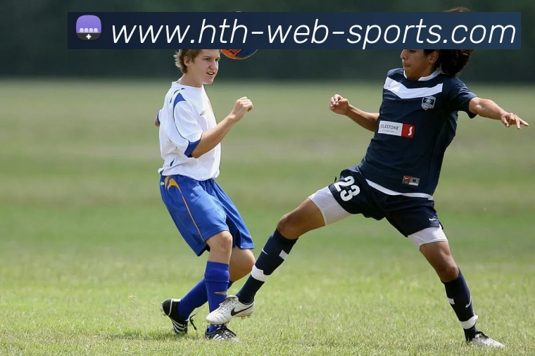 华体会体育全站App